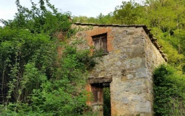 Frazione Carnaiola snc,Fabro,Terni,Italy,1 Camera da Letto Stanze da Letto,Fabbricato,Frazione Carnaiola,2283