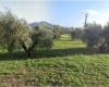 Località Scarlino Scalo Scarlino,Italy,Terreno,Località Scarlino Scalo,2319