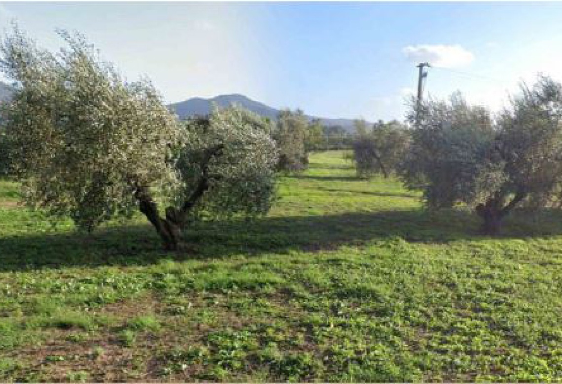 Località Scarlino Scalo Scarlino,Italy,Terreno,Località Scarlino Scalo,2319