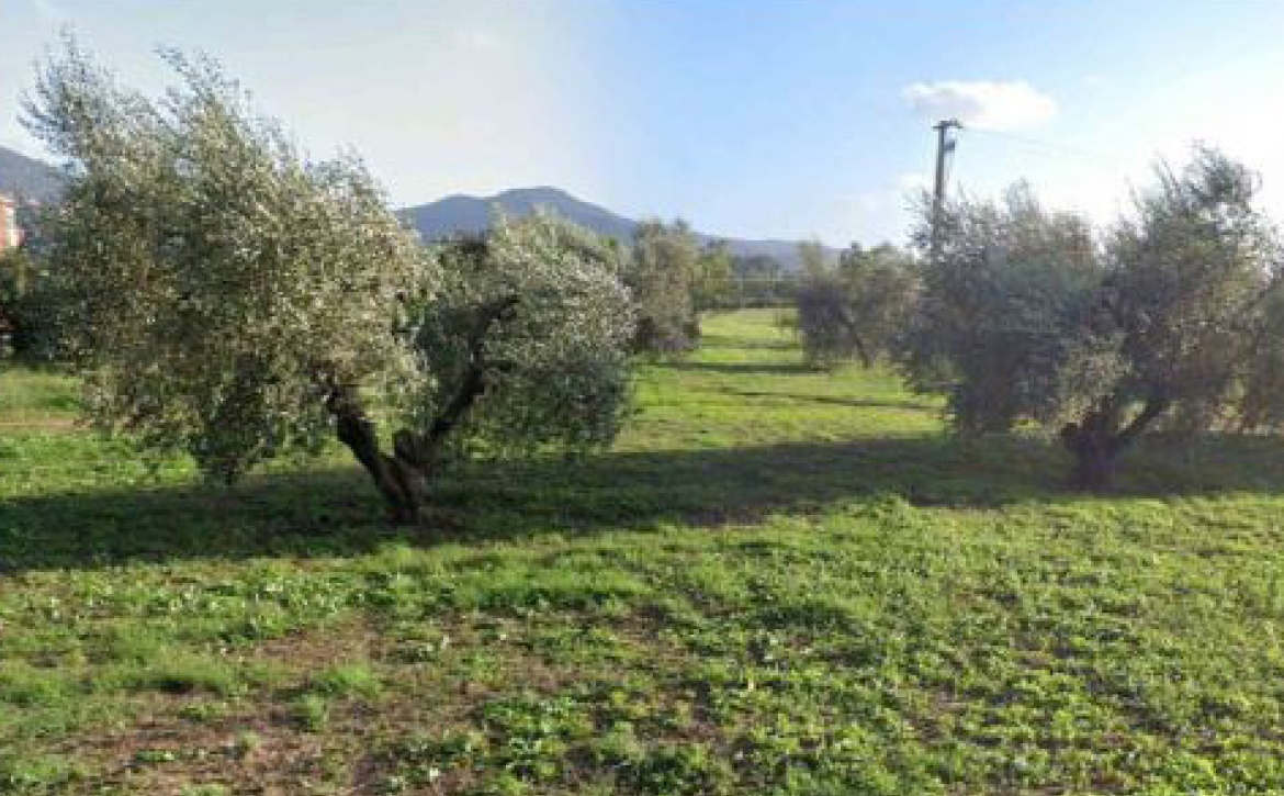 Località Scarlino Scalo Scarlino,Italy,Terreno,Località Scarlino Scalo,2319