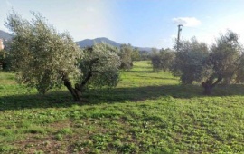 Località Scarlino Scalo Scarlino,Italy,Terreno,Località Scarlino Scalo,2319