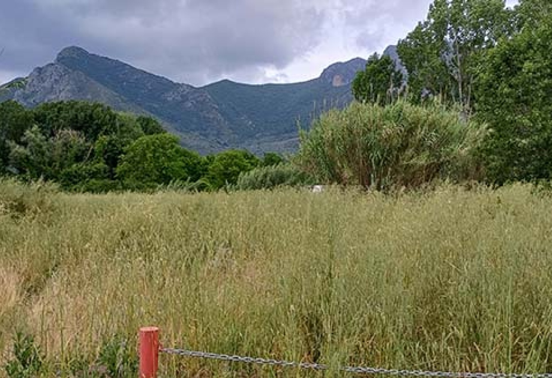 Contrada Sferracavalli,SS 85 Venafrana km 19 Venafrio,Isernia,Italy,Terreno,Contrada Sferracavalli,SS 85 Venafrana km 19,2378