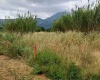 Contrada Sferracavalli,SS 85 Venafrana km 19 Venafrio,Isernia,Italy,Terreno,Contrada Sferracavalli,SS 85 Venafrana km 19,2378