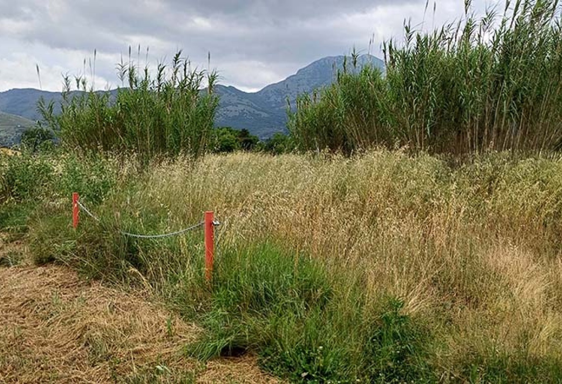 Contrada Sferracavalli,SS 85 Venafrana km 19 Venafrio,Isernia,Italy,Terreno,Contrada Sferracavalli,SS 85 Venafrana km 19,2378