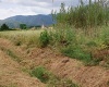 Contrada Sferracavalli,SS 85 Venafrana km 19 Venafrio,Isernia,Italy,Terreno,Contrada Sferracavalli,SS 85 Venafrana km 19,2378