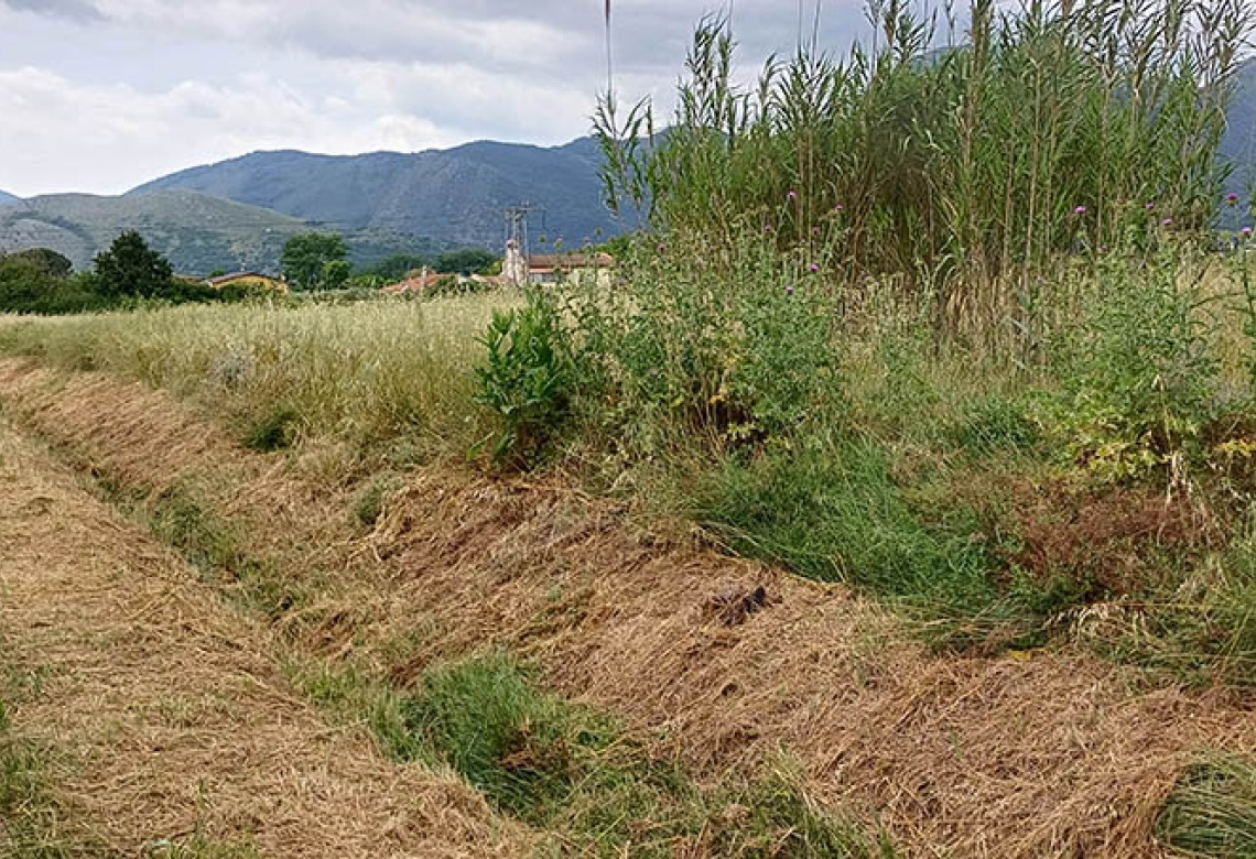 Contrada Sferracavalli,SS 85 Venafrana km 19 Venafrio,Isernia,Italy,Terreno,Contrada Sferracavalli,SS 85 Venafrana km 19,2378