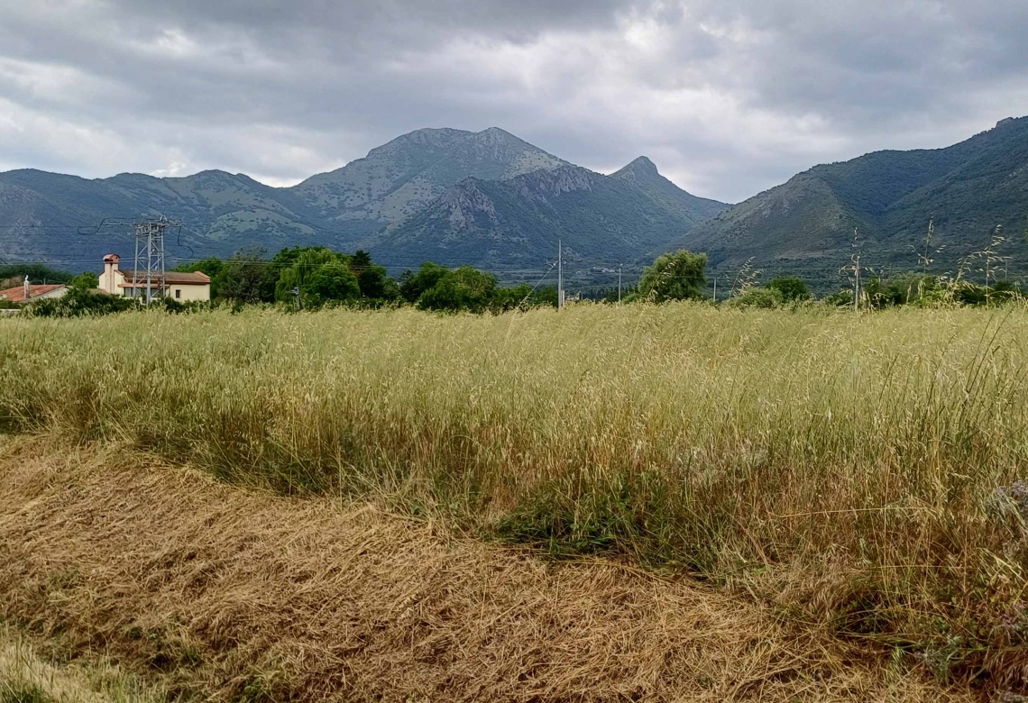 Contrada Sferracavalli,SS 85 Venafrana km 19 Venafrio,Isernia,Italy,Terreno,Contrada Sferracavalli,SS 85 Venafrana km 19,2378