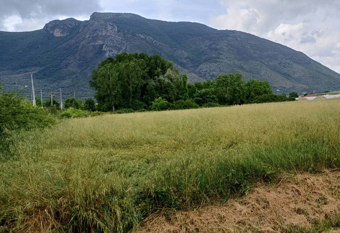 Contrada Sferracavalli,SS 85 Venafrana km 19 Venafrio,Isernia,Italy,Terreno,Contrada Sferracavalli,SS 85 Venafrana km 19,2378