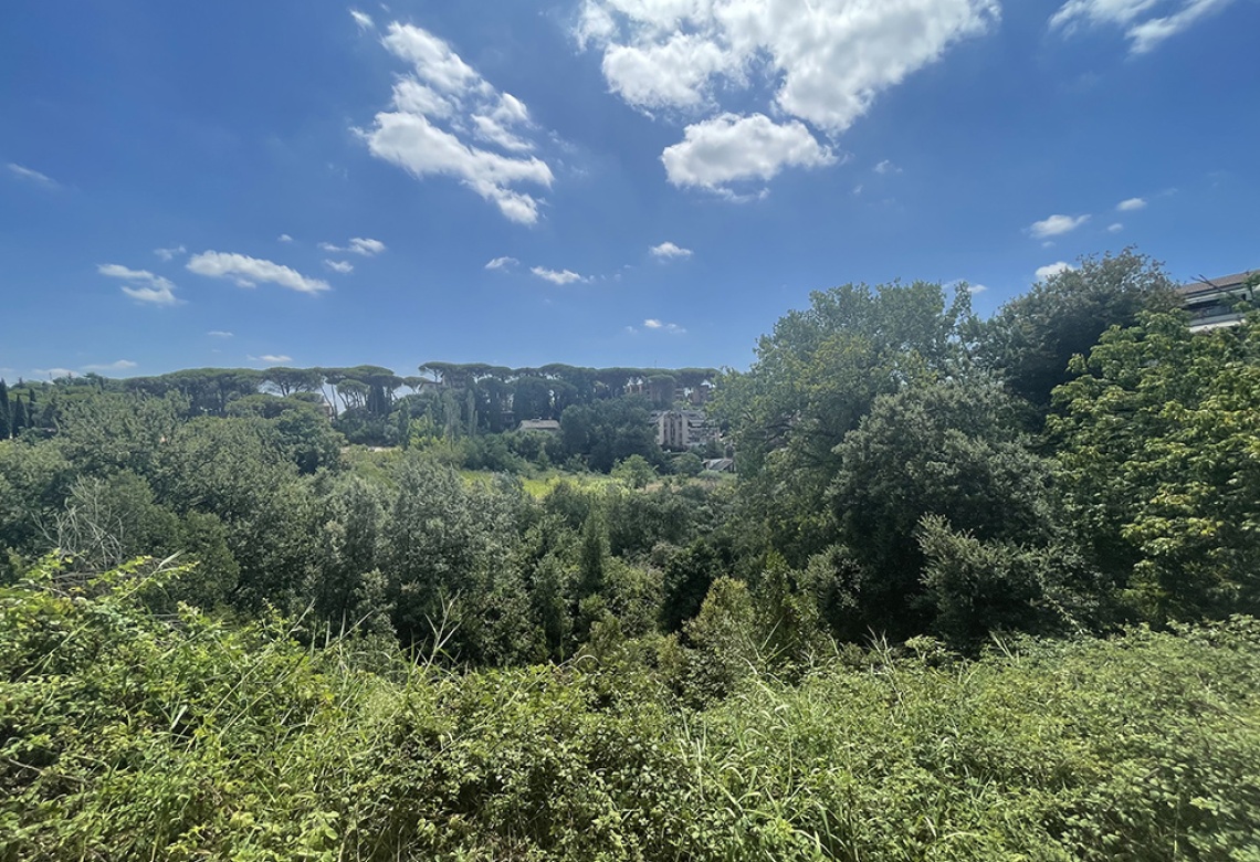 terreno edificabile Roma