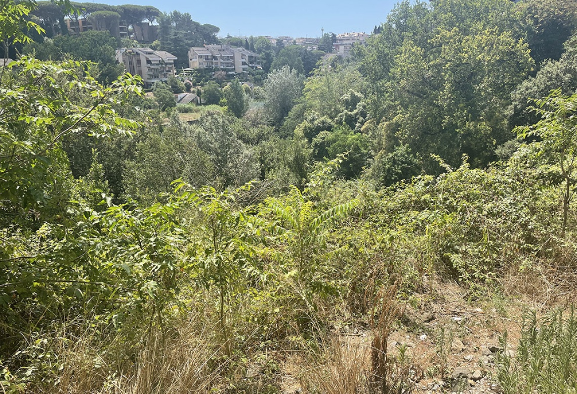 terreno edificabile Roma
